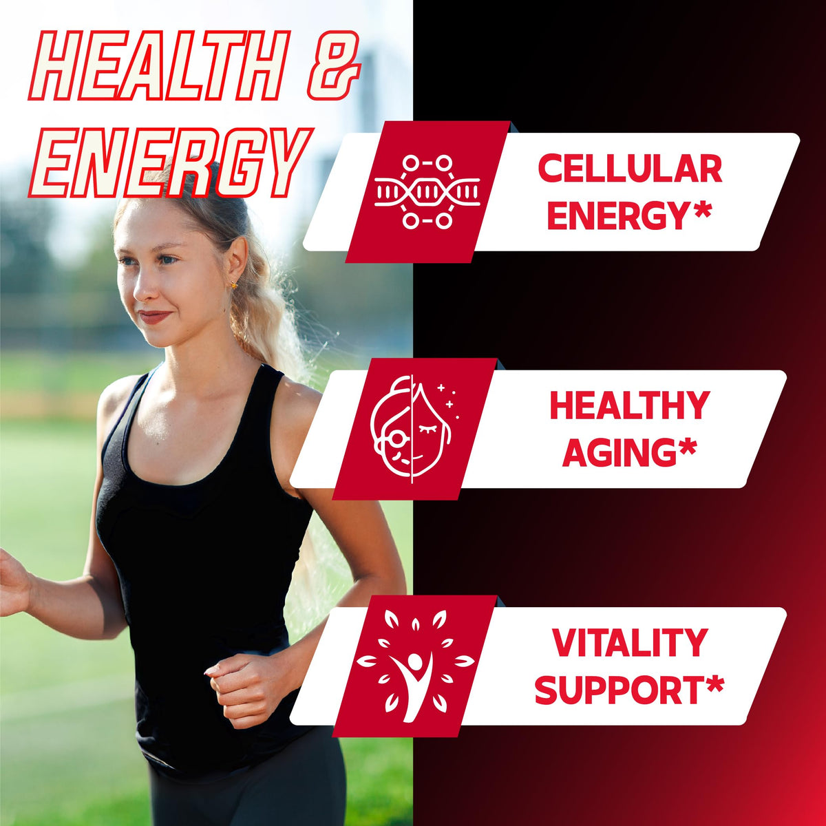 DEDICAD 11in1 NAD Supplement with Nicotinamide Riboside, Quercetin, Resveratrol and 8 More - 2 Month Supply DEDICADBuy Supplements Australia