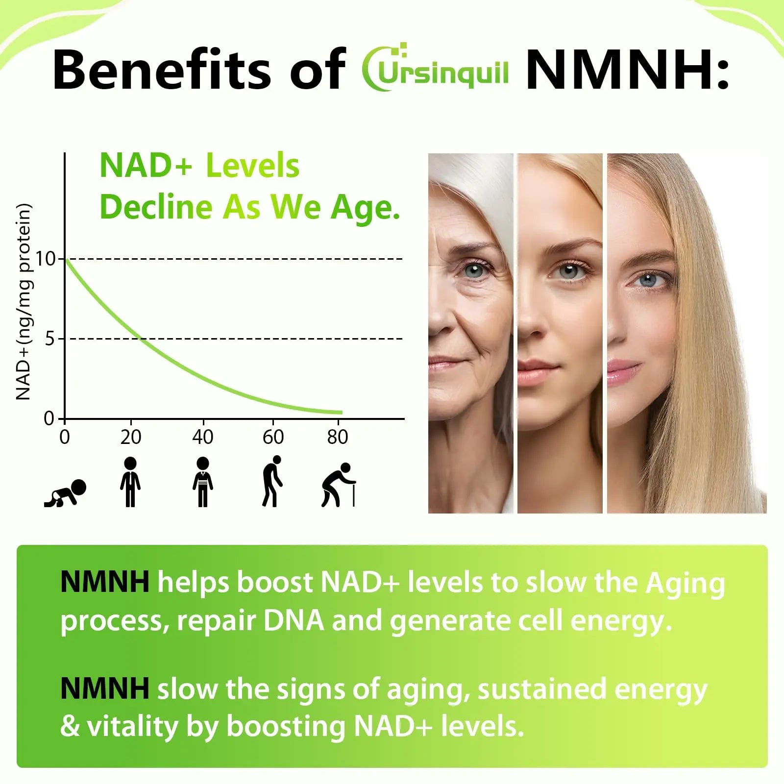 Sublingual NMNH 500mg (Dihydronicotinamide Mononucleotide) (120 Servings, NMNH 500mg per Serving) NAD Supplement to Boost NAD Levels as We Age, for Anti-Aging, Energy, Immunity, Focus - 120 Count UrsinquilBuy Supplements Australia