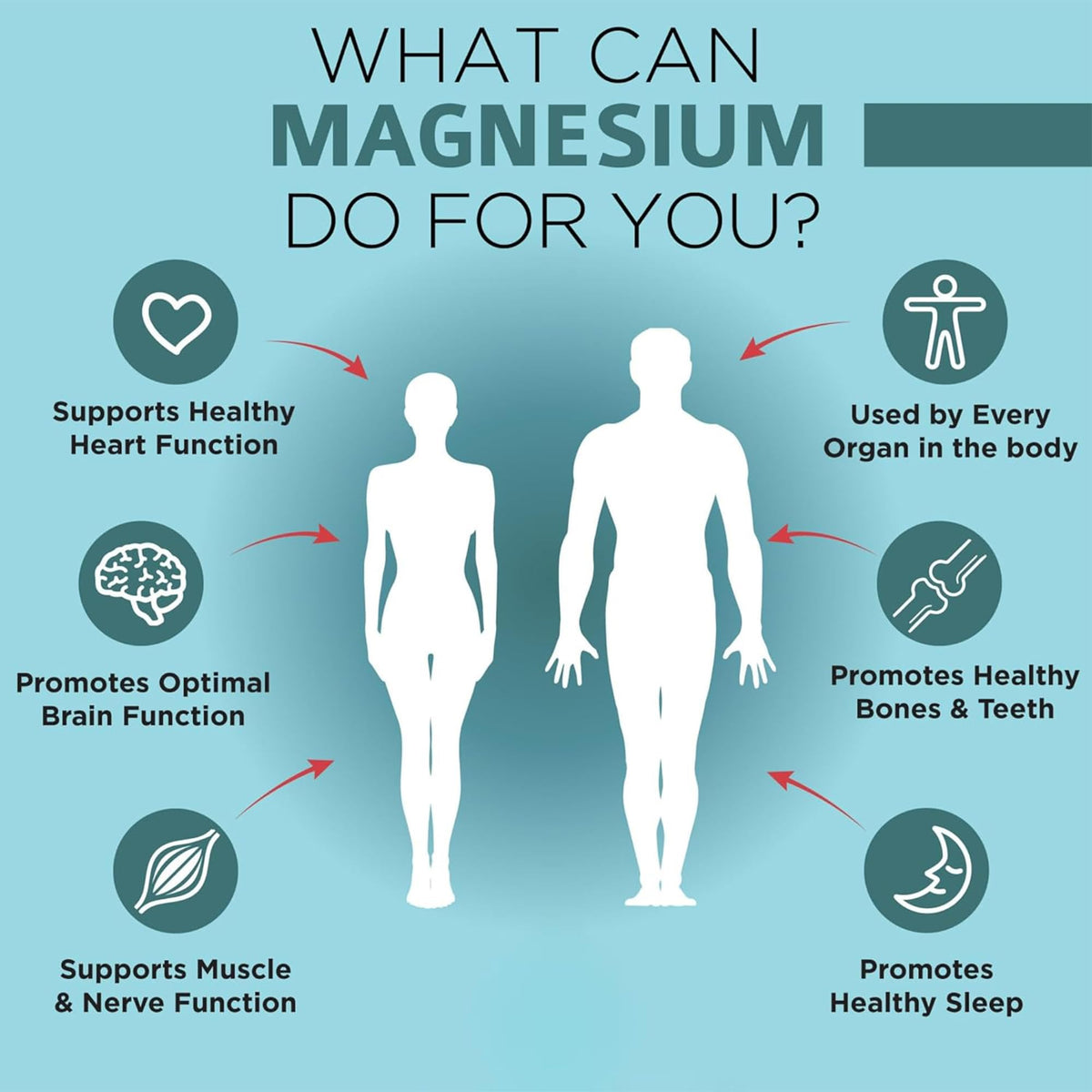 OmniBiotics Magnesium Glycinate Supplement – with 100% Pure Albion TRAACS Bisglycinate Chelate for Sleep, Muscle