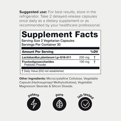 Toniiq Lactobacillus Plantarum – 100 Billion CFU High-Strength Single-Strain Probiotic with FOS – Delayed-Release Veggie Capsules – Third-Party Tested Potency – 60 Capsules Toniiq buy supplements Au