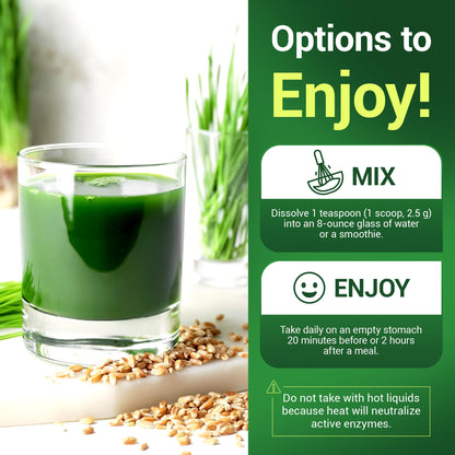Dr. Berg's Wheatgrass Superfood Powder - Raw Juice Organic Ultra-Concentrated Rich Dr. Berg NutritionalsBuy Supplements Australia