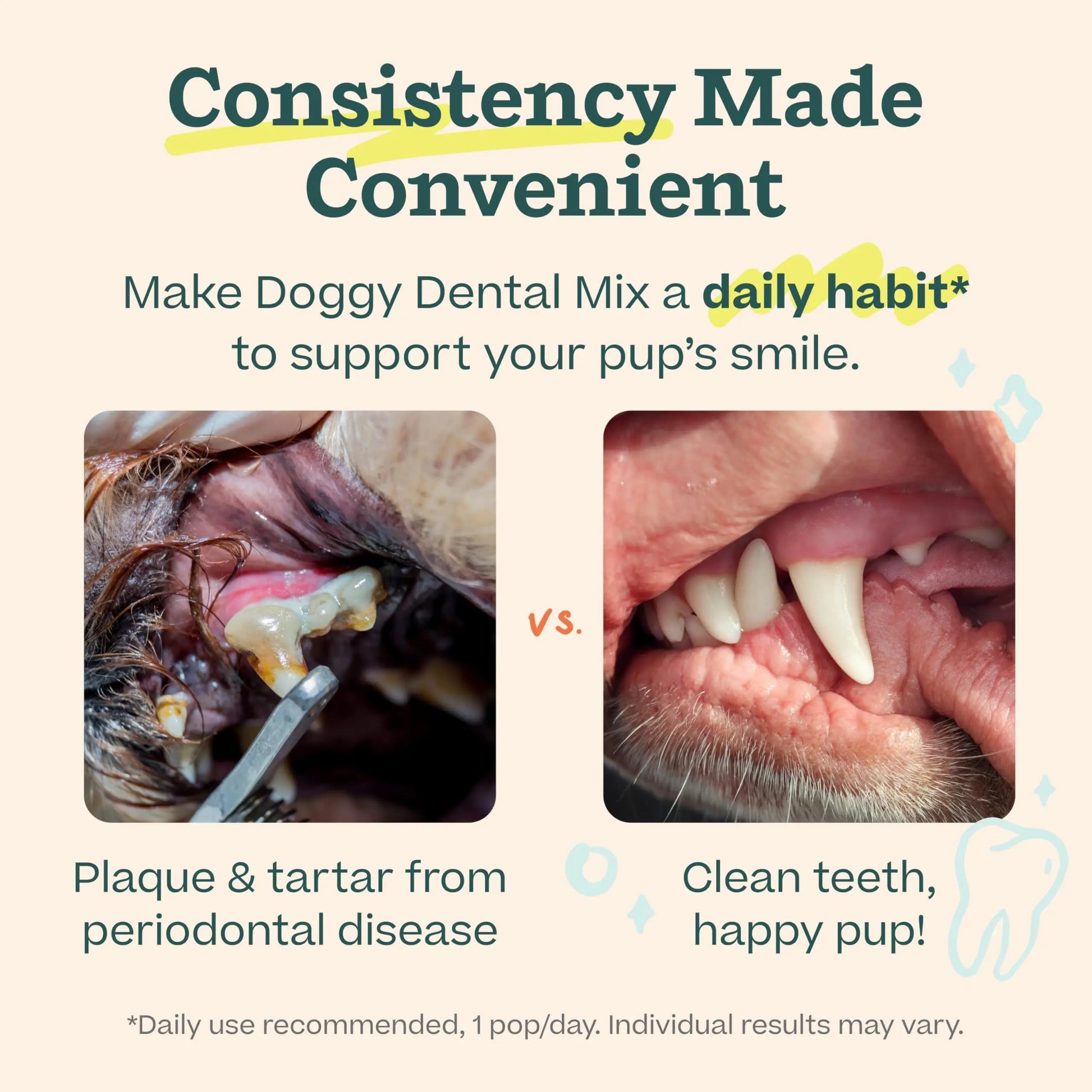 Woof Doggy Dental Pupsicle Mix - Dog Teeth Cleaning Powder for The Pupsicle - Long Lasting Postbiotic Dental Enzyme Mix to Support Oral Health for Dogs WOOFBuy Supplements Australia