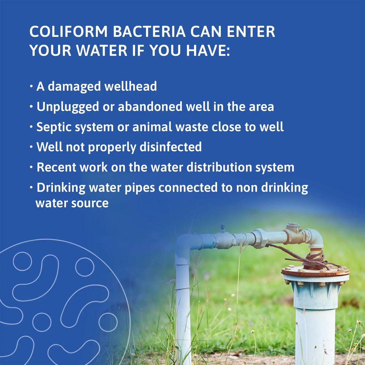 Exploro® Bacteria Water Test Kit, Pond Water Test Kit, Pool Water Testing Kit, Water Testing Kits for Drinking Water for Coliform (E. coli), EPA Approved Pool Test Kit (1 Pack) ExploroBuy Supplements Australia
