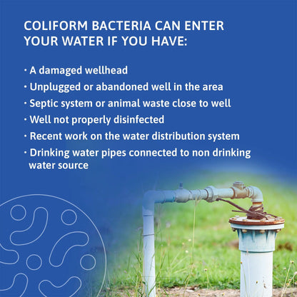 Exploro® Bacteria Water Test Kit, Pond Water Test Kit, Pool Water Testing Kit, Water Testing Kits for Drinking Water for Coliform (E. coli), EPA Approved Pool Test Kit (1 Pack) ExploroBuy Supplements Australia