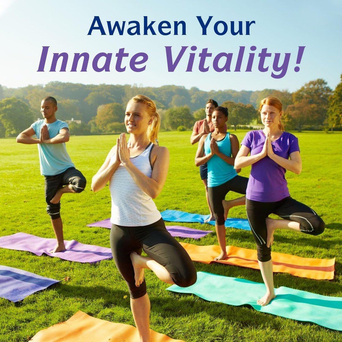 Innate Vitality 12-in-1 Magnesium Complex, 500 mg Elemental Mag, with Magnesium Glycinate Malate Taurate Aspartate & More,