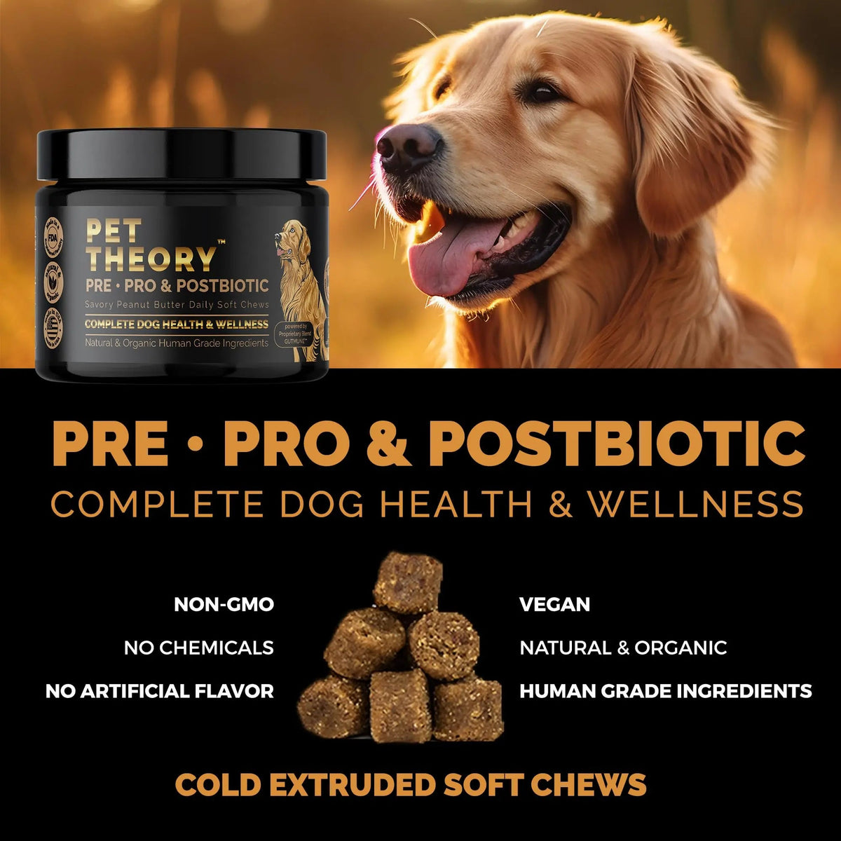 Pet Theory Probiotics for Dogs. Dog Digestive Health-Pre Pro and Postbiotic Combination-Pet Supplements for Gut Health-Supports Digestion, Boost Immunity-100CT Soft Chews Pet TheoryBuy Supplements Australia