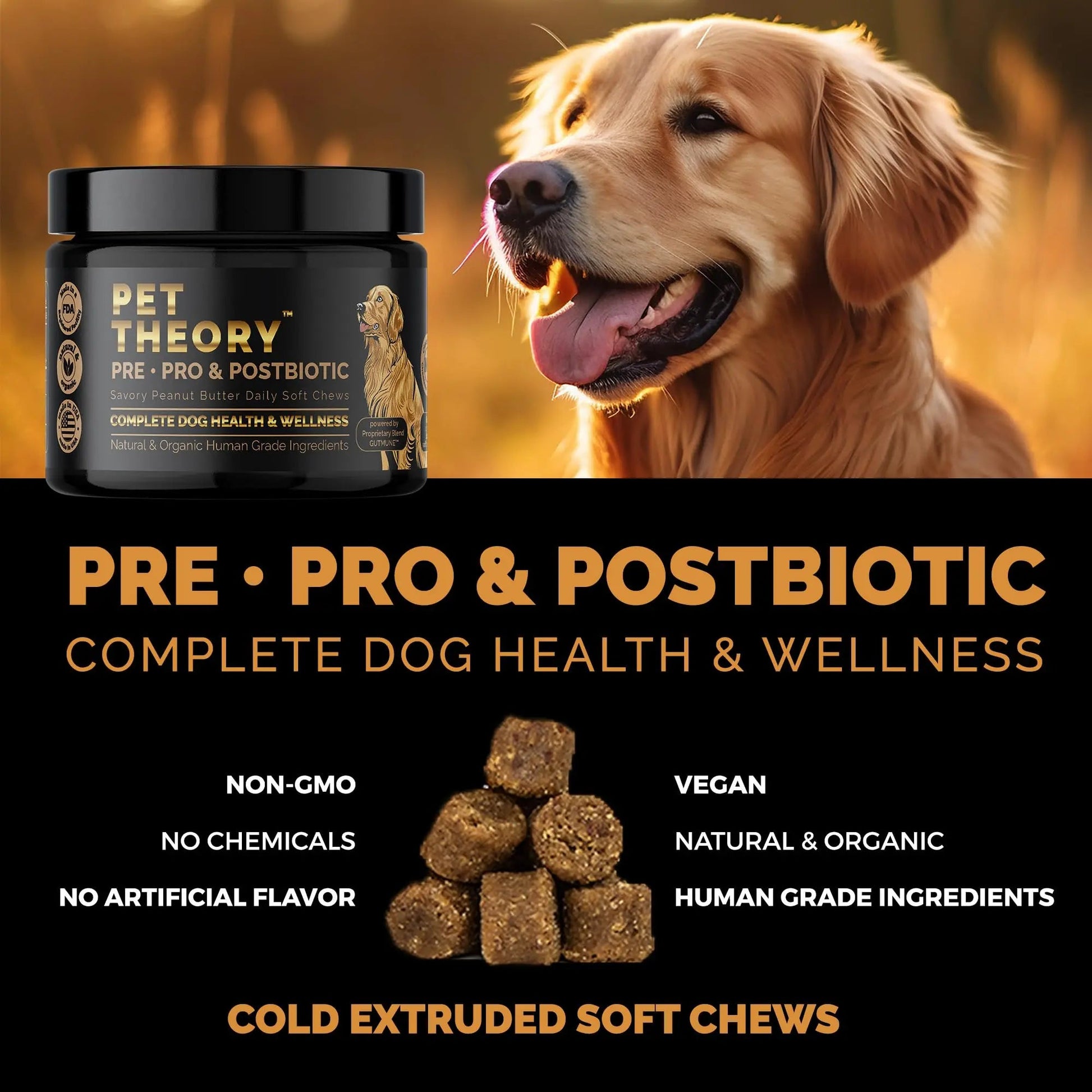 Pet Theory Probiotics for Dogs. Dog Digestive Health-Pre Pro and Postbiotic Combination-Pet Supplements for Gut Health-Supports Digestion, Boost Immunity-100CT Soft Chews Pet TheoryBuy Supplements Australia