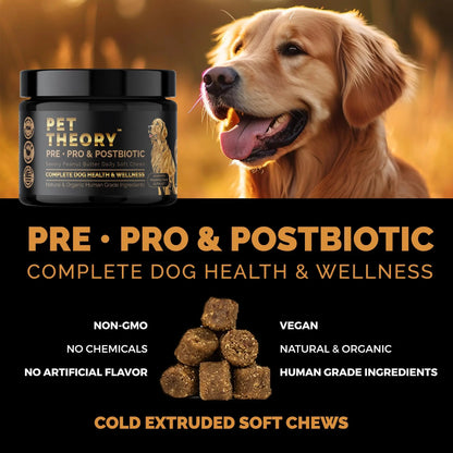 Pet Theory Probiotics for Dogs. Dog Digestive Health-Pre Pro and Postbiotic Combination-Pet Supplements for Gut Health-Supports Digestion, Boost Immunity-100CT Soft Chews Pet TheoryBuy Supplements Australia