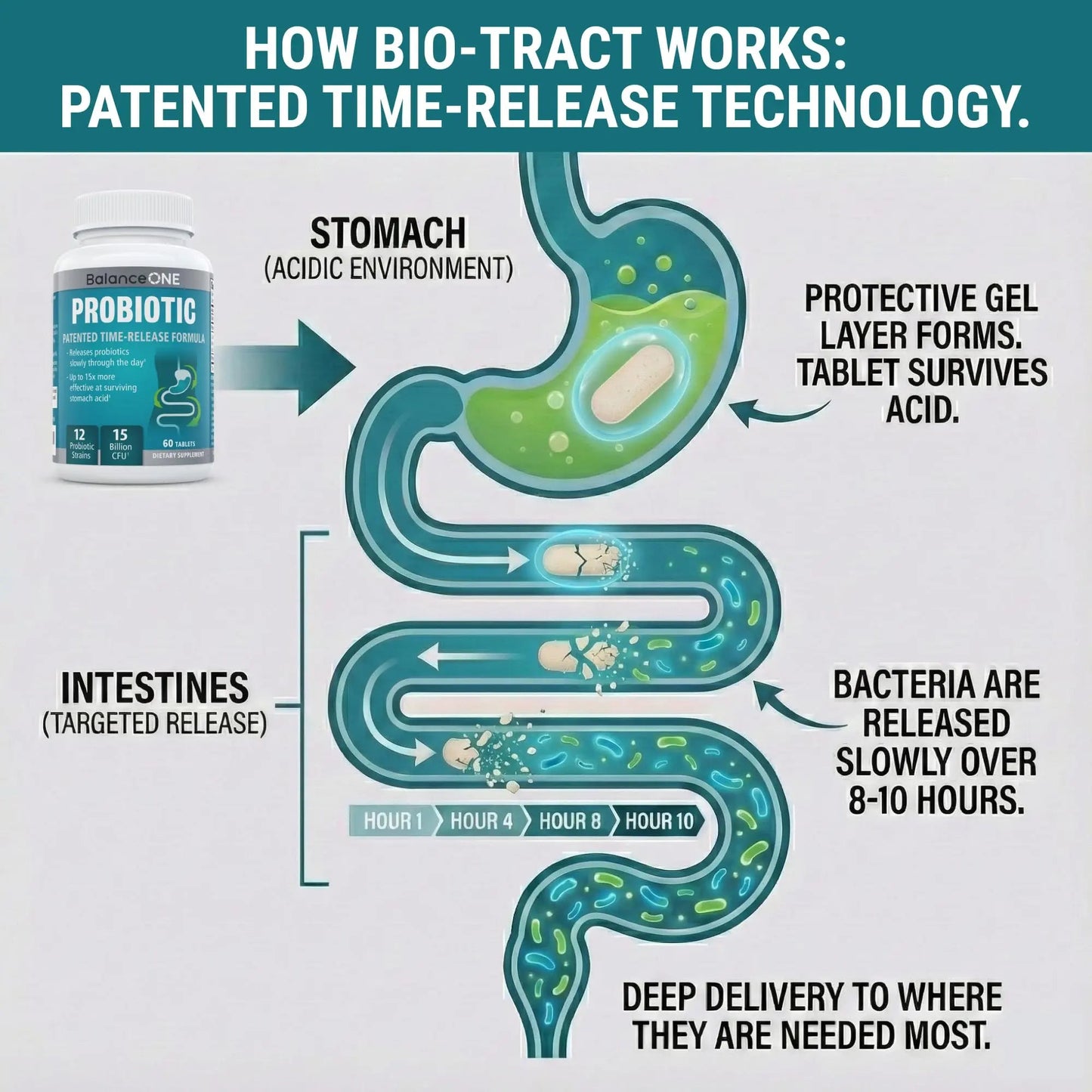 Balance ONE Time Release Probiotic – 15 Billion CFU – 12 Strains Including L. Plantarum – 15x More Survival Than Capsules – Bloating & Gas Relief – Gut & Digestive Health for Women & Men – 60 Tablets Balance ONEBuy Supplements Australia