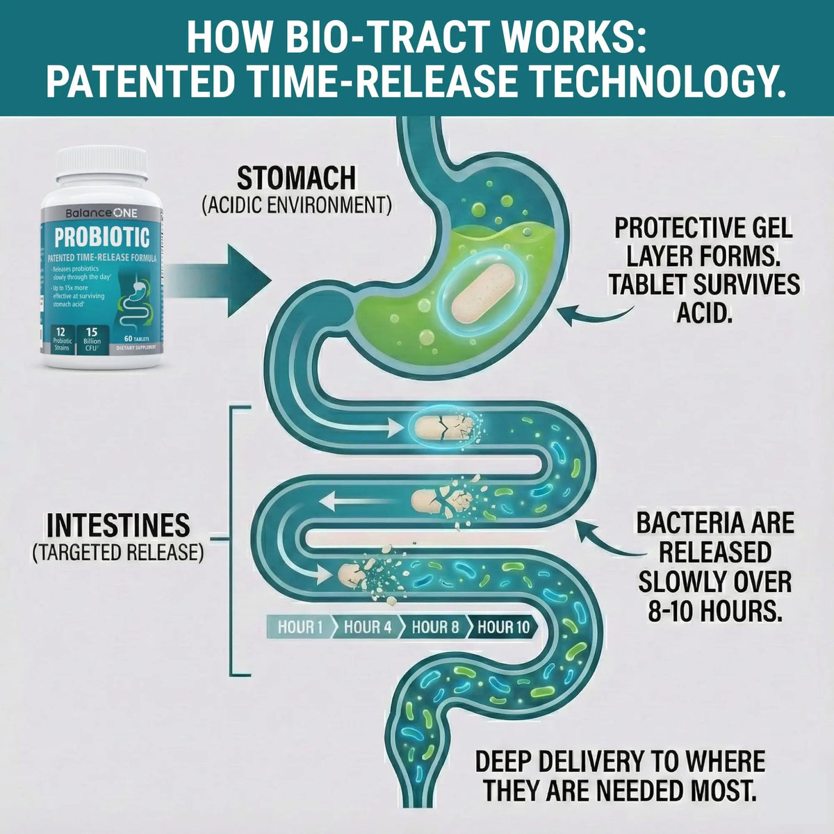 Balance ONE Time Release Probiotic – 15 Billion CFU – 12 Strains Including L. Plantarum – 15x More Survival Than Capsules – Bloating & Gas Relief – Gut & Digestive Health for Women & Men – 60 Tablets Balance ONEBuy Supplements Australia