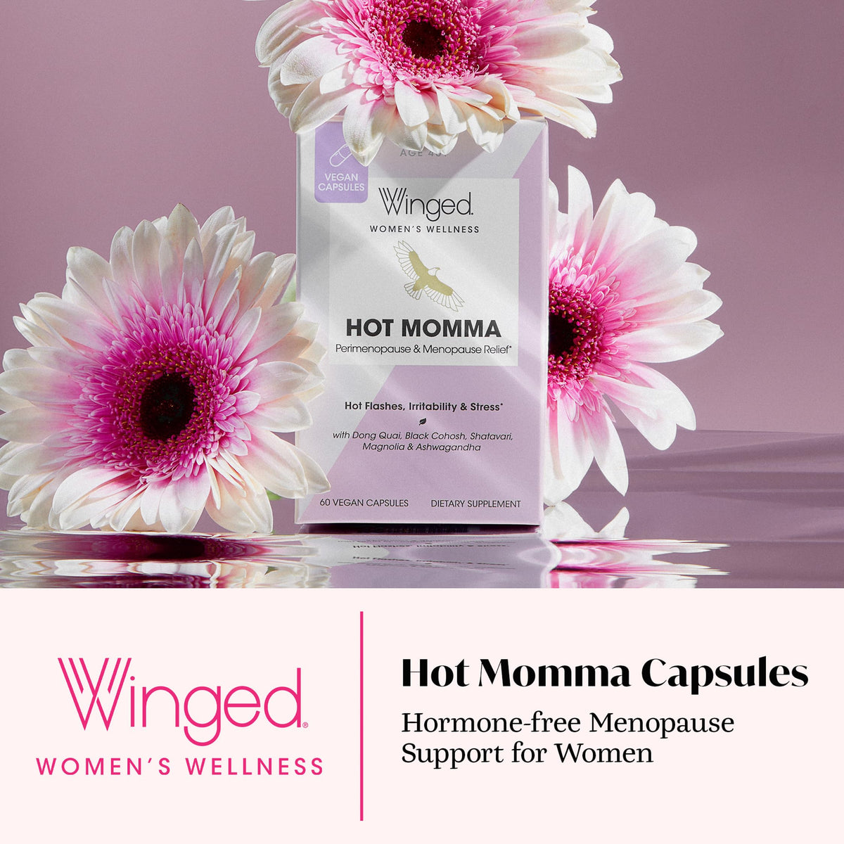 Winged Wellness Hot Momma Menopause Supplements for Women - Hormone-Free Menopause Relief Support for Hot Flashes & Night Sweats with Chaste Tree Berry, Multivitamins & Shatavari - 60 Vegan Capsules Winged WellnessBuy Supplements Australia