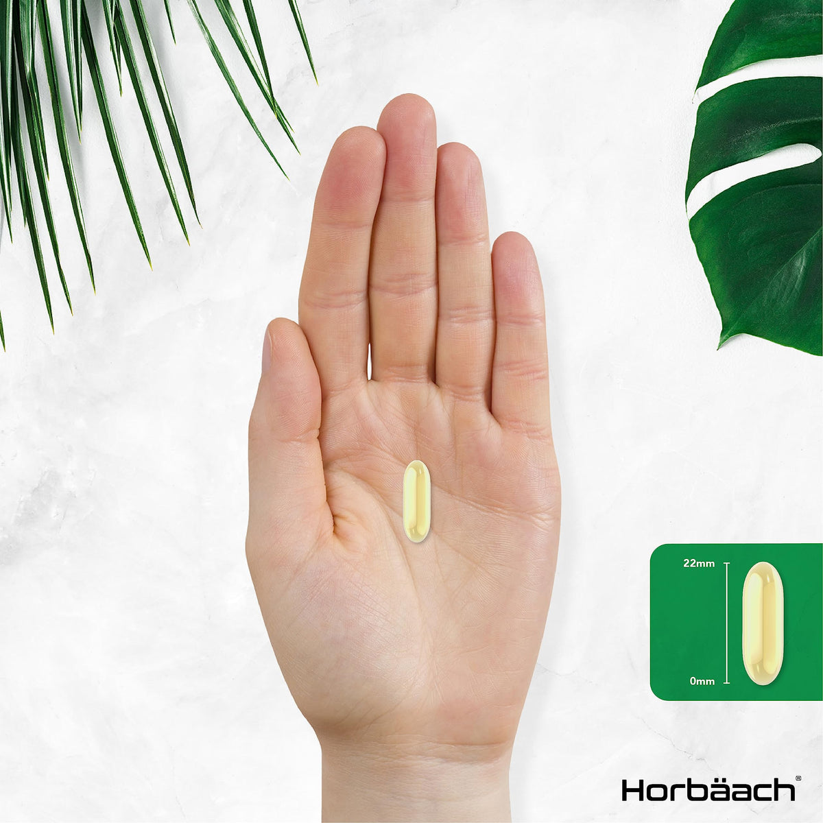 Vitamin E Capsules 1000iu | 200 Count | High Strength Vitamin E as DL-Alpha Tocopheryl HorbäachBuy Supplements Australia