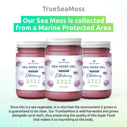 Irish Sea Moss Gel TrueSeaMossBuy Supplements Australia