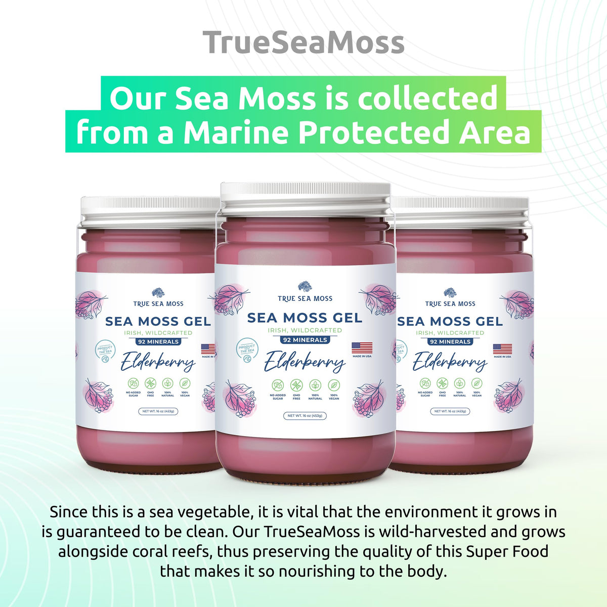TrueSeaMoss Wildcrafted Irish Sea Moss Gel – Nutritious Organic Raw Seamoss Rich TrueSeaMossBuy Supplements Australia
