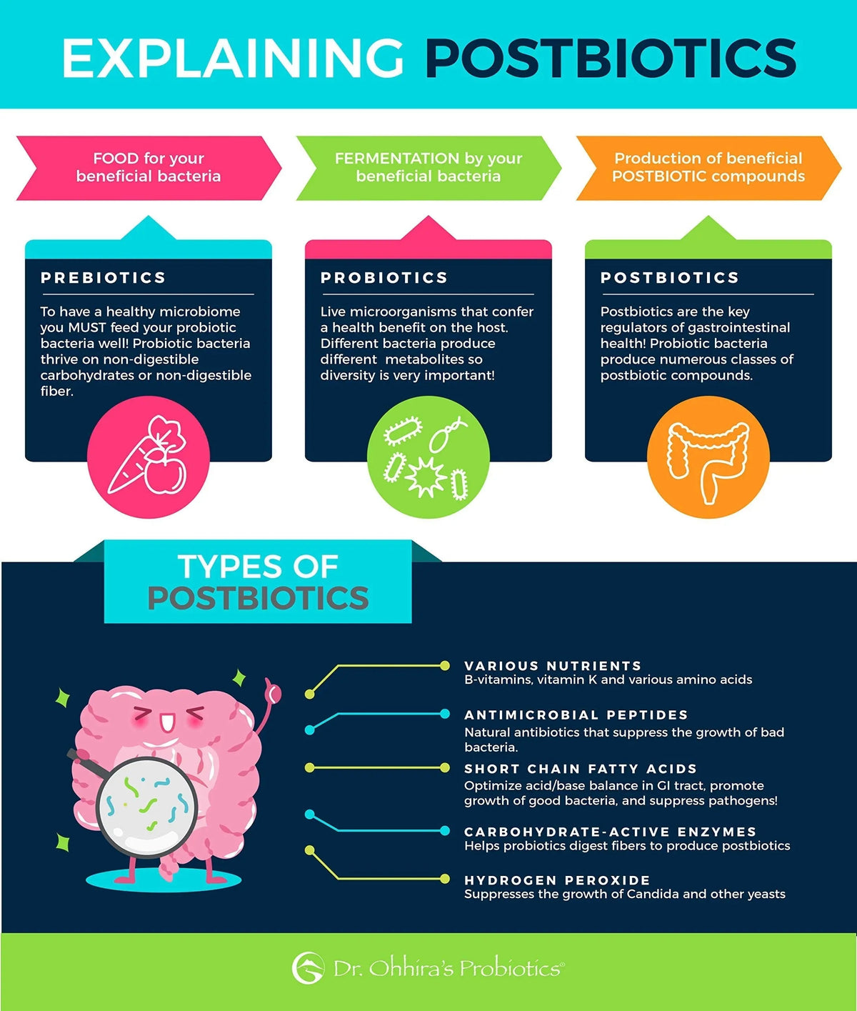 Essential Formulas Dr. Ohhira’s Probiotics Professional Formula with 5 Year Fermented Prebiotics, Live Active Probiotics and The only Product with Postbiotic Metabolites, 60 Capsules Essential FormulasBuy Supplements Australia