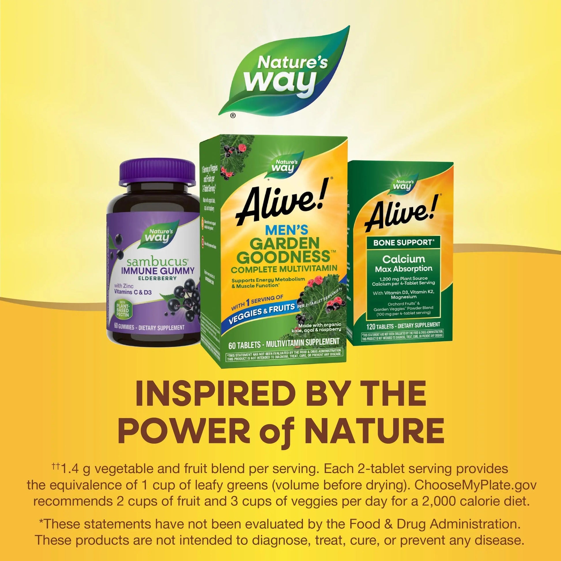 Nature's Way Alive! Garden Goodness Men's Multivitamin, Veggie & Fruit Blend (1400mg per serving), Made with Organic Kale, 60 Count Nature's Way