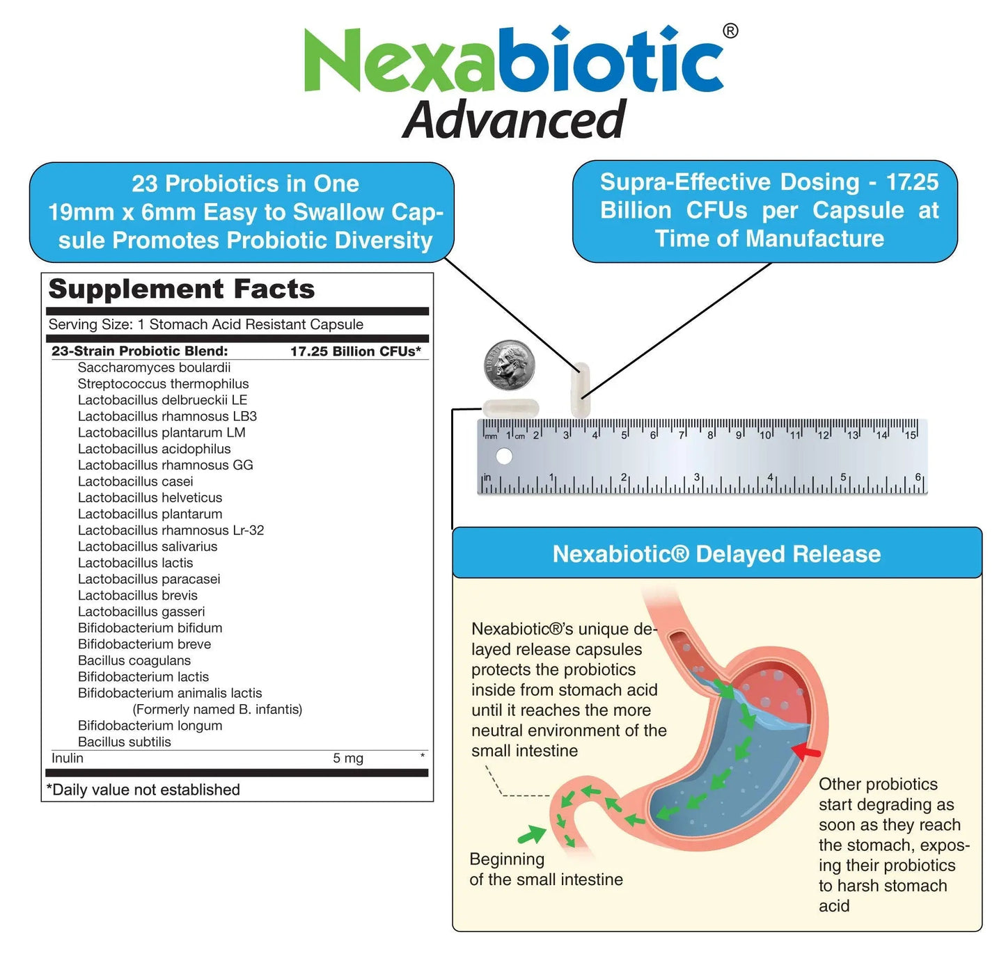 DrFormulas Nexabiotic 23 Multi Probiotic for Women and Men - Dr. formulated with Lactobacillus Acidophilus, Bifidobacterium Infantis, Saccharomyces Boulardii, 17.25 Billion CFUs DrFormulasBuy Supplements Australia