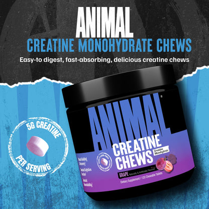Animal Creatine Chews – 5g Creatine Monohydrate Tablets for Strength, Power & Training Recovery Support – Enhanced Absorption with AstraGin® – Convenient Chewable Format – 120 Tablets AnimalBuy Supplements Australia