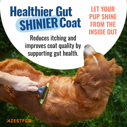 Azestfor Gut Health Supplement for Dogs – 3 in 1 Probiotic, Prebiotic & Postbiotic Blend – Supports Digestion, Immunity & Skin – Easy-to-Use Powder – for All Breeds & Sizes – 60g (30 Servings) AzestforBuy Supplements Australia