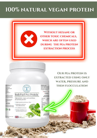 Complementary Supplements - BodyFuel Hypoallergenic Pea Protein Isolate Powder Plus Phytonutrients Complementary SupplementsBuy Supplements Australia