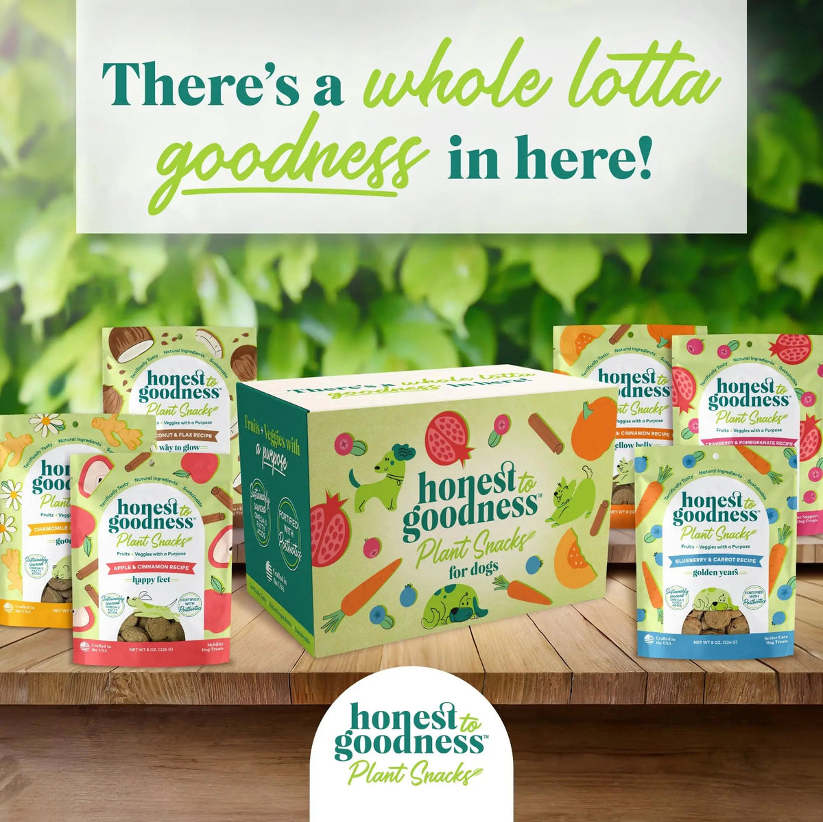 Honest to Goodness Plant Snacks Dog Treats, Enriched with Omega 3s & Postbiotics, 8oz Variety Pack, 6 Bags Honest to GoodnessBuy Supplements Australia