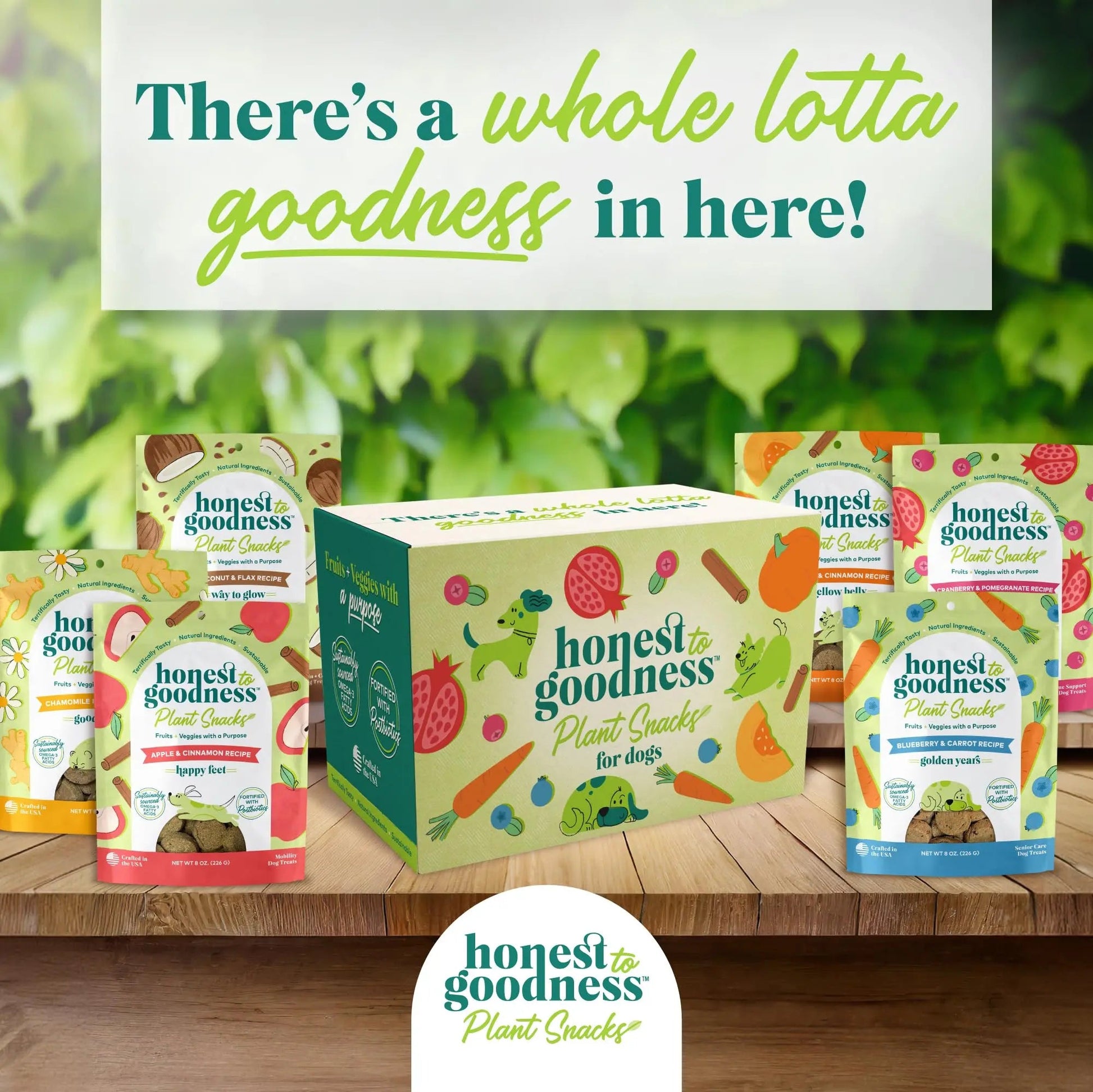 Honest to Goodness Plant Snacks Dog Treats, Enriched with Omega 3s & Postbiotics, 8oz Variety Pack, 6 Bags Honest to GoodnessBuy Supplements Australia