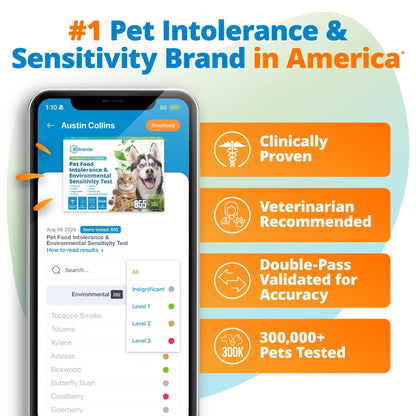 5Strands Pet Food Intolerance & Environmental Sensitivity Test, at Home Gut Health Test for Dogs & Cats, 857 Items Tested, Pet Health Check, Results in 4 Days, for All Ages and Breeds 5StrandsBuy Supplements Australia