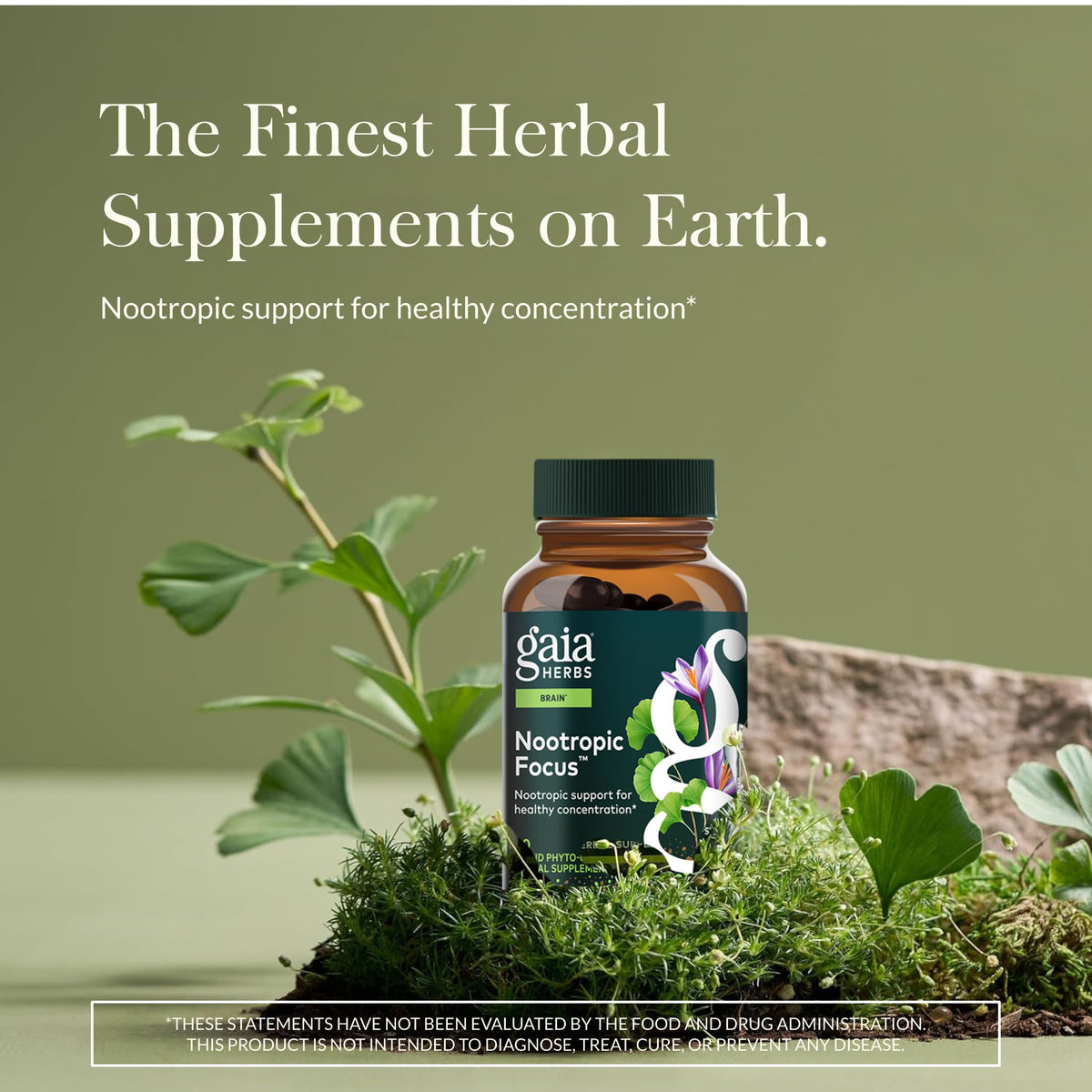Gaia Herbs Nootropic Focus - Brain & Cognitive Support Supplement to Help Maintain Healthy Concentration* - with Saffron, Lemon Balm & Spearmint - 40 Liquid Phyto-Capsules (20 Servings) Gaia HerbsBuy Supplements Australia