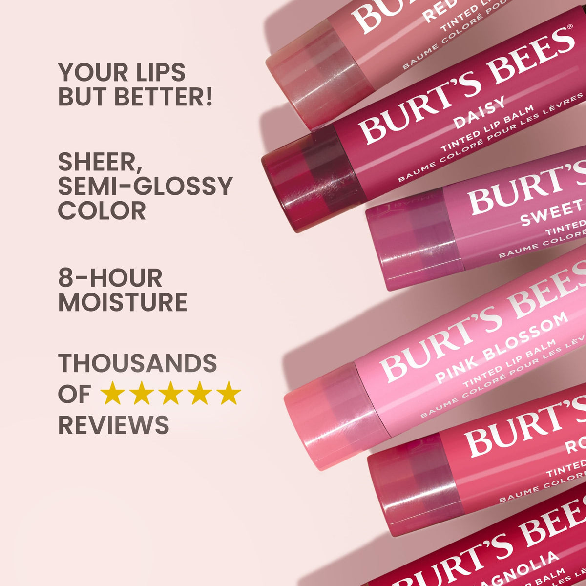 Burt's Bees Lip Tint Balm with Long Lasting 2 in 1 Duo Tinted Balm Formula, Color Infused with Deeply Hydrating Shea Butter