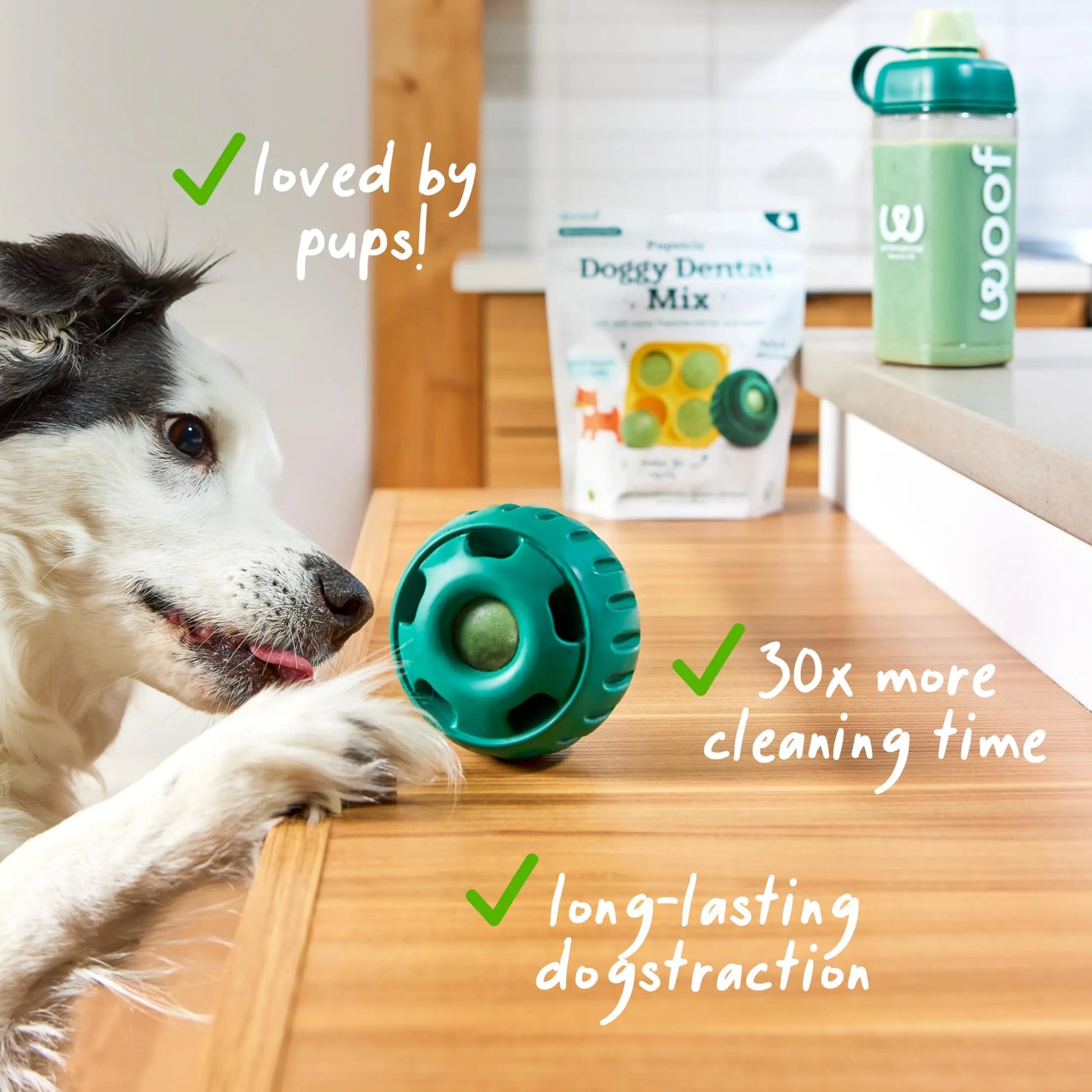 Woof Doggy Dental Pupsicle Mix - Dog Teeth Cleaning Powder for The Pupsicle - Long Lasting Postbiotic Dental Enzyme Mix to Support Oral Health for Dogs WOOFBuy Supplements Australia