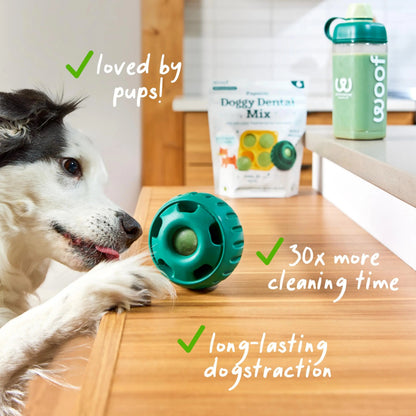 Woof Doggy Dental Pupsicle Mix - Dog Teeth Cleaning Powder for The Pupsicle - Long Lasting Postbiotic Dental Enzyme Mix to Support Oral Health for Dogs WOOFBuy Supplements Australia