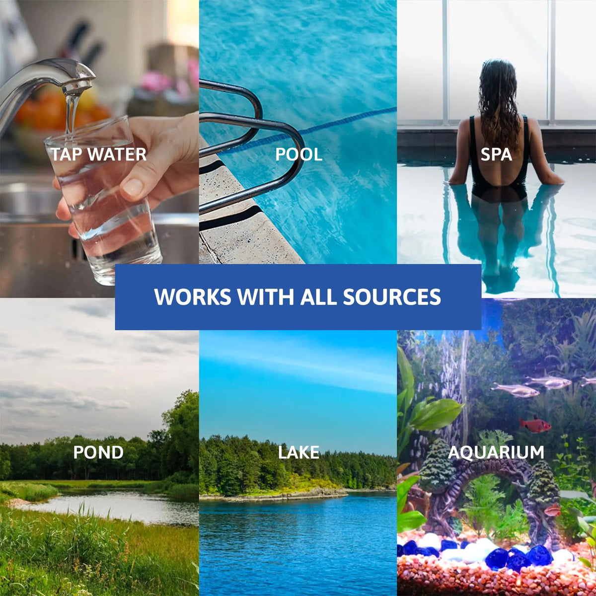 Exploro® Bacteria Water Test Kit, Pond Water Test Kit, Pool Water Testing Kit, Water Testing Kits for Drinking Water for Coliform (E. coli), EPA Approved Pool Test Kit (1 Pack) ExploroBuy Supplements Australia