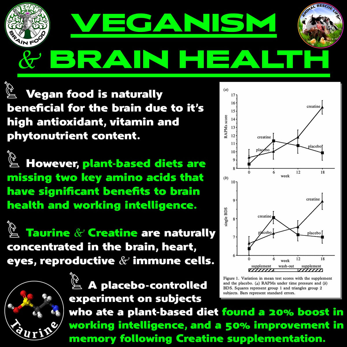 Vegan Brain & Body Boost: The Cherry On Top of A Plant-Based Lifestyle | Working Intelligence | Anti-Aging | Physical Fitness | Vegan Amino Acids - Creatine, Taurine & Beta Alanine | 40 Servings/300g Vegan Brain FoodBuy Supplements Australia