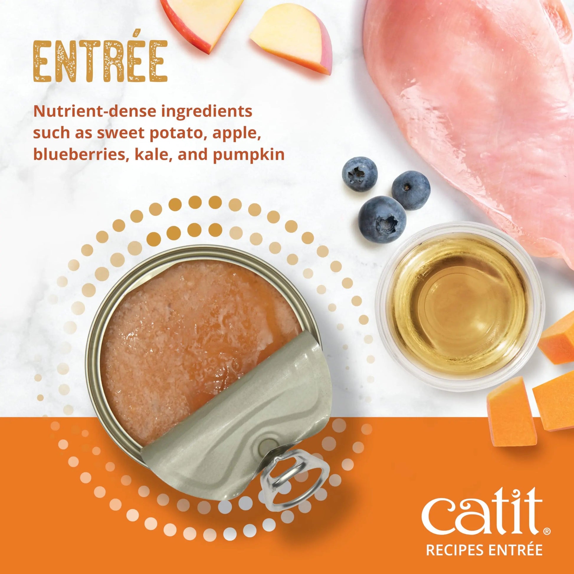 Catit Recipes Adult Chicken Entrée – High-Protein Wet Cat Food with Bone Broth Hydration, Prebiotics & Postbiotics for Gut Health, Omega-3 for Skin & Coat, and Taurine for Heart Support 3oz (12/cs) CatitBuy Supplements Australia