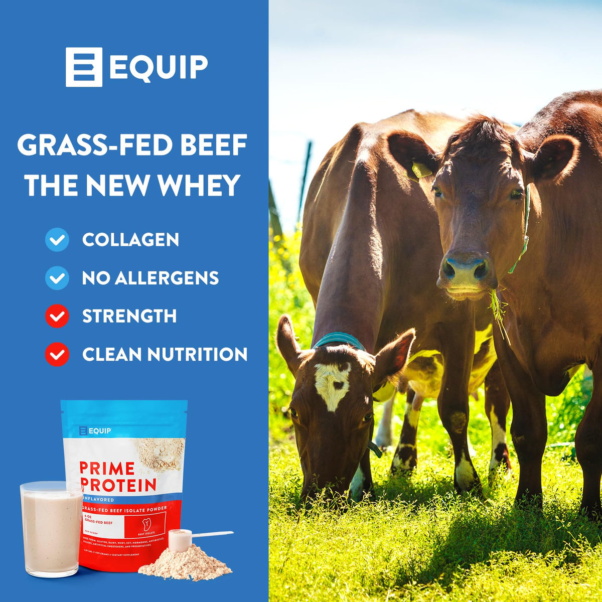 Equip Foods Prime Protein - Grass Fed Beef Protein Powder Isolate - Paleo and Keto Friendl EquipBuy Supplements Australia