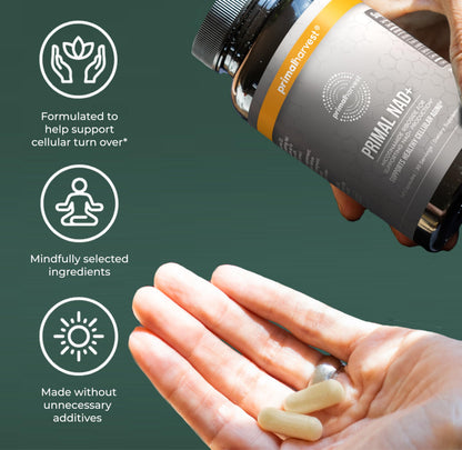 Primal Harvest NAD+ Supplement: Nicotinamide Riboside, Trans-Resveratrol, Betaine, CoQ10, NAD Supplements for Cellular Health, Energy, and Mitochondrial Support Primal HarvestBuy Supplements Australia