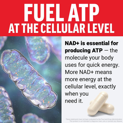Force Factor NMN Supplement, Nicotinamide Mononucleotide to Support Healthy Aging and Energy Metabolism, Boosts NAD+ Levels, No Gelatin, Non-GMO, 30 Vegetable Capsules Force FactorBuy Supplements Australia