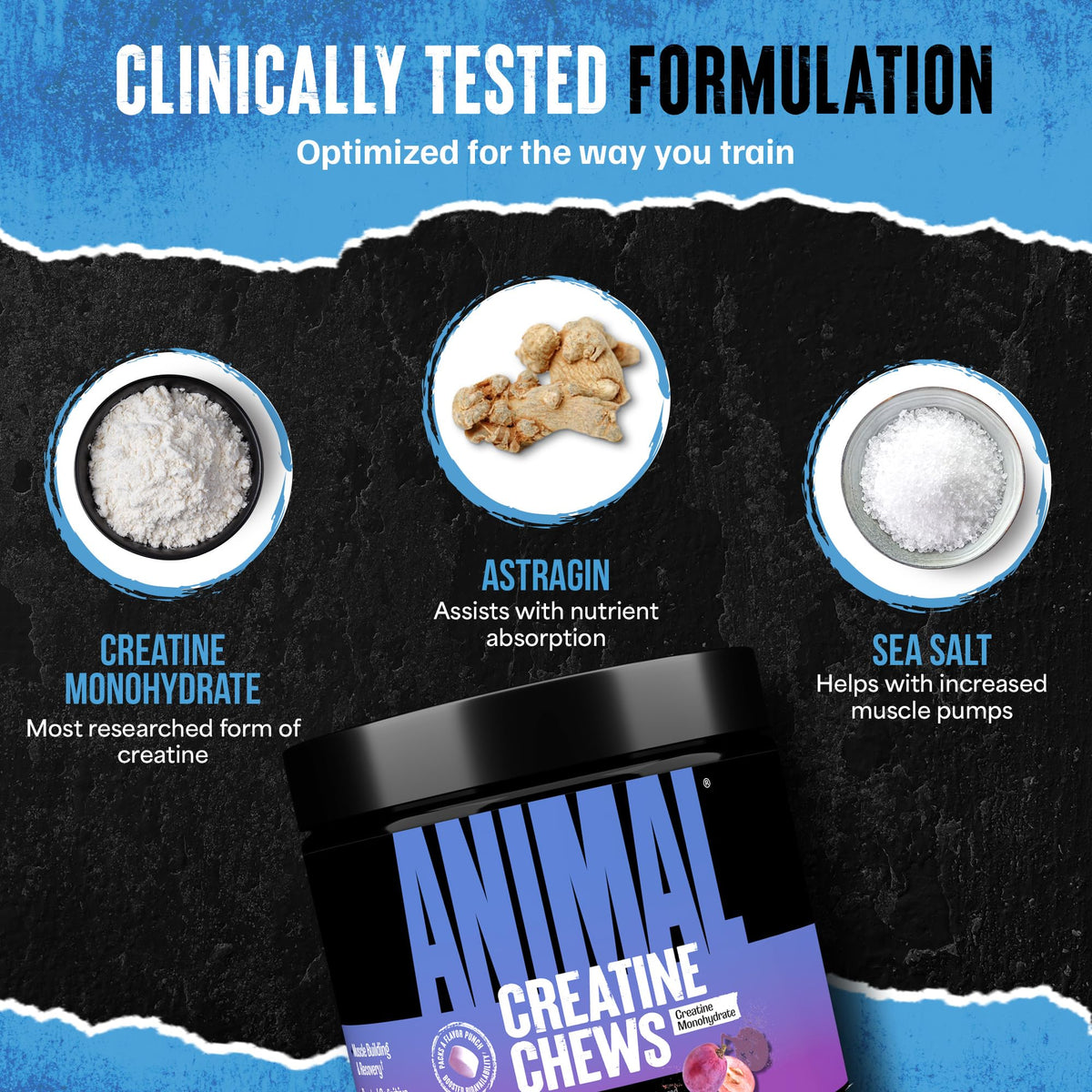 Animal Creatine Chews – 5g Creatine Monohydrate Tablets for Strength, Power & Training Recovery Support – Enhanced Absorption with AstraGin® – Convenient Chewable Format – 120 Tablets AnimalBuy Supplements Australia