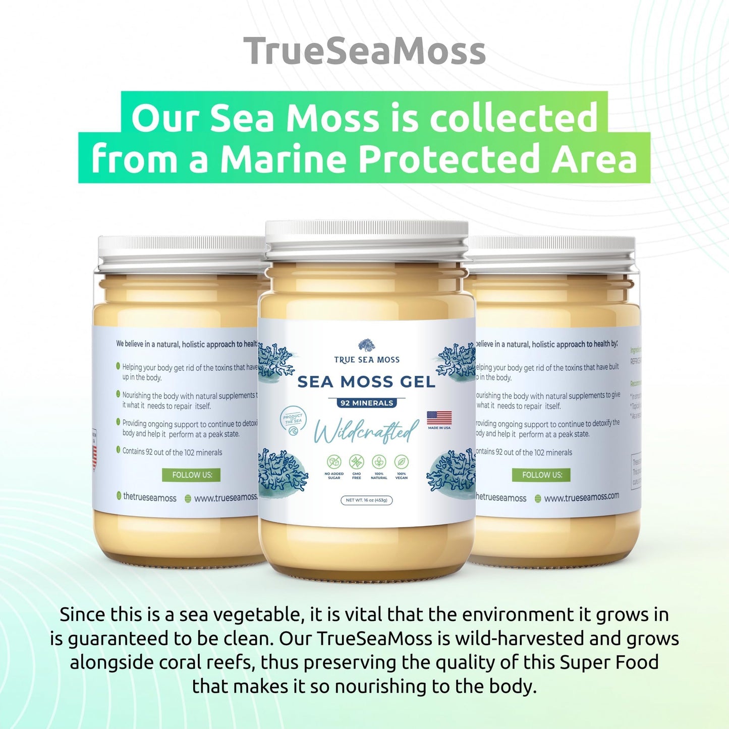 TrueSeaMoss Wildcrafted Irish Sea Moss Gel – Nutritious Raw Seamoss Rich in Minerals TrueSeaMossBuy Supplements Australia