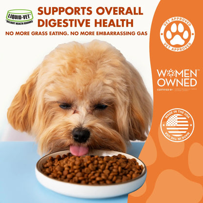 Pre & PostBiotic Support for Dogs – Digestive Upset, Stool Quality & Sensitive Stomach Support – Easy Liquid Formula for Picky Eaters LIQUID-VETBuy Supplements Australia