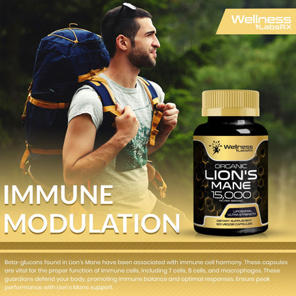Lions Mane Supplement Capsules - 120 Count - Mushroom Supplement, Brain Supplements WELLNESS LABSRXBuy Supplements Australia
