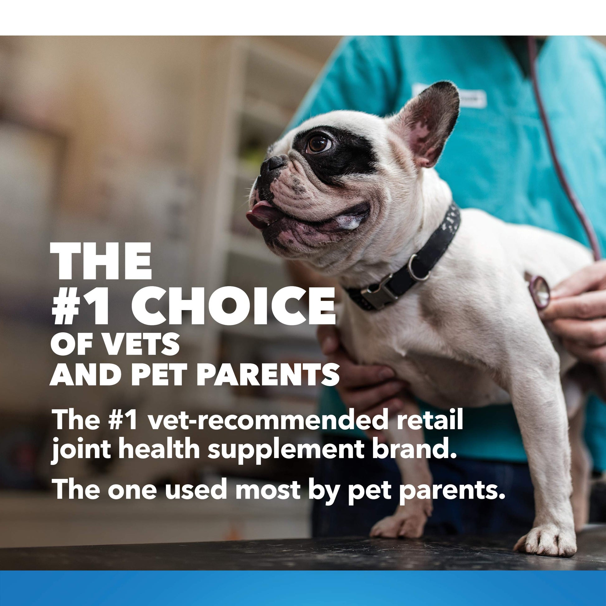 Nutramax Laboratories Cosequin Maximum Strength Joint Health Supplement for Dogs Nutramax LaboratoriesBuy Supplements Australia