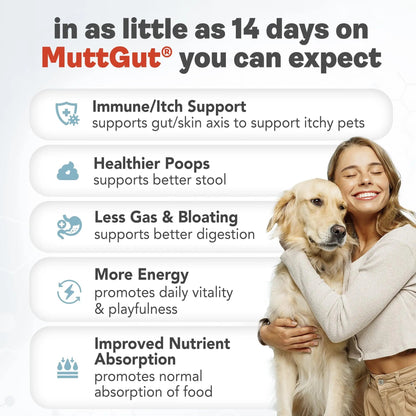All-Natural 3-in-1 Dog Probiotic, Prebiotic, and Postbiotic Supplement Powder - Probiotics for Dogs with 135 Billion CFUs, Anti Diarrhea, Digestive Enzymes & Antioxidants (60g) MUTTGUTBuy Supplements Australia