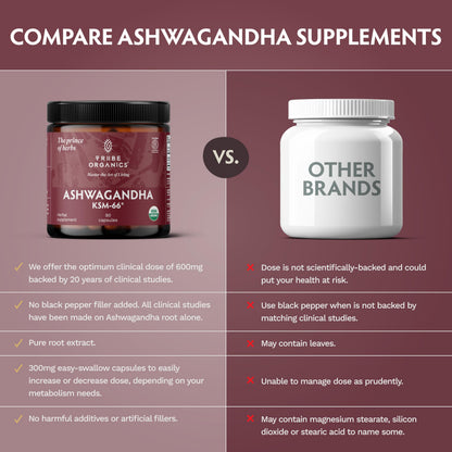 TRIBE ORGANICS Ashwagandha KSM 66 Pure Organic Root Powder Extract Ayurvedic Supplement - Focus Mood Support Increase Energy Strength 600mg of Natural KSM66 for Superior Absorption - 90 Capsules TRIBE ORGANICSBuy Supplements Australia