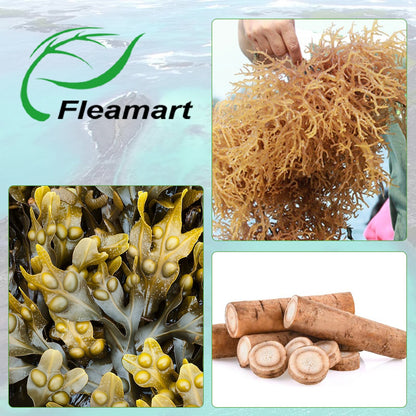 Fleamart Irish Sea Moss Capsules 120ct Raw Organic Sea Moss Wildcrafted Bladderwrack FleamartBuy Supplements Australia