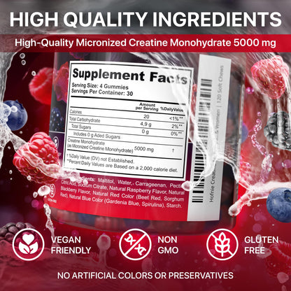 Hofnie Creatine Monohydrate Gummies 5000 mg – Vegan, Sugar-Free Pre Workout Creatine for Men & Women – Raspberry & BlackBerry Flavored Chewable Creatine Monohydrate, 120 Gummies (30-Day Supply) HofnieBuy Supplements Australia