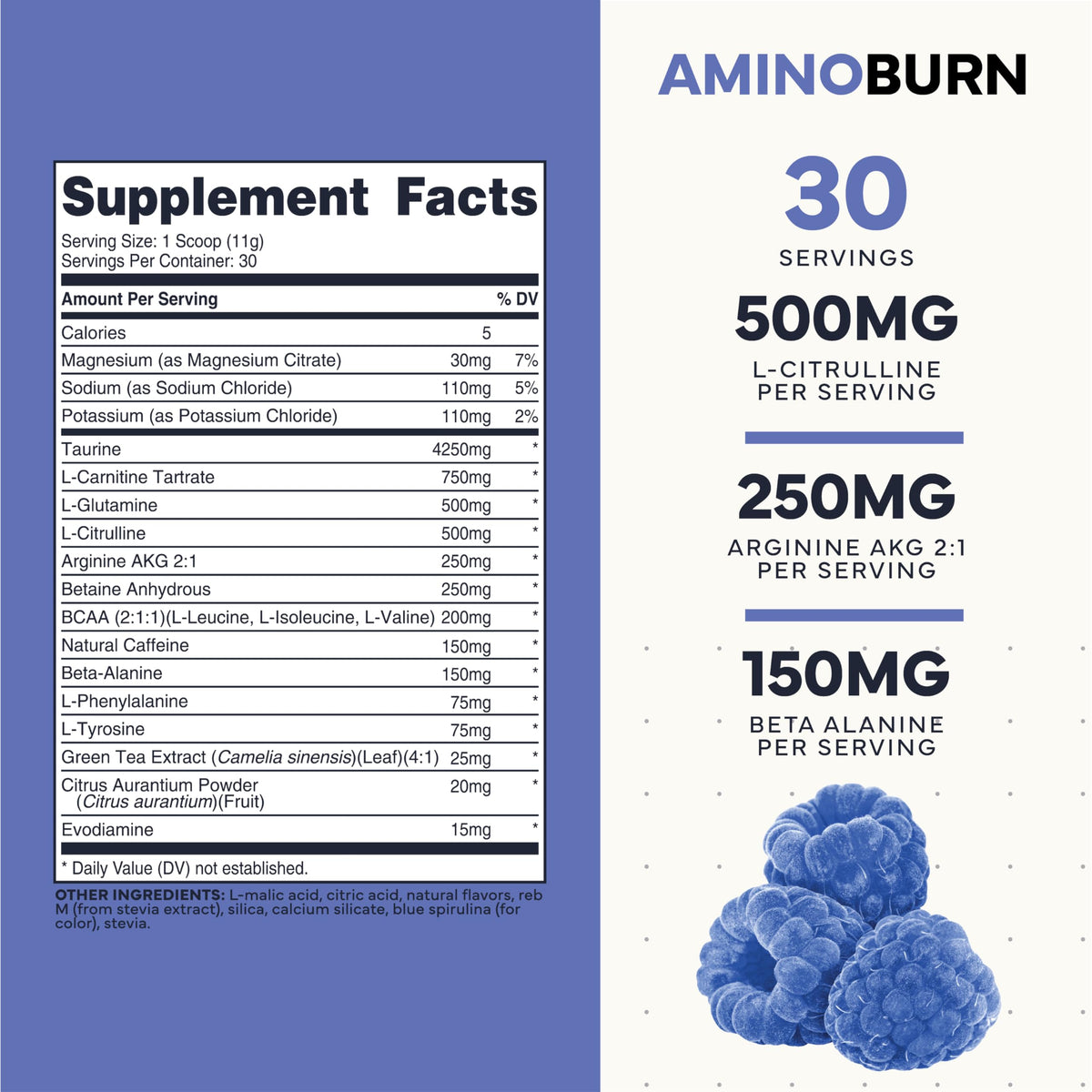 Type Zero Amino Burn - Vegan BCAA + Clean Pre Workout Powder with Arginine AKG, L-Citrulline & Beta Alanine - Amino Acid Clean Energy, Endurance & Hydration Supplement - Blue Raspberry, 30 Servings Type ZeroBuy Supplements Australia