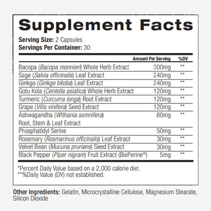 PALO Focus Brain Booster Natural Supplement Nootropic for Memory, Focus, Learning, Reall, Attention and Cognition - Ginkgo Biloba, Bacopa, Gotu Kola, Ashwagandha, Mucuna 60 Capsules PALOBuy Supplements Australia