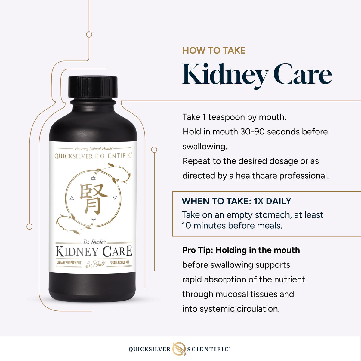 Quicksilver Scientific Kidney Care - Kidney Cleanse & Lymphatic Drainage Supplements - Astragaloside IV Extract, Zhu Ling, Goldenrod, Ferulic Acid, He Shou Wu & Dandelion Leaf (3.38oz / 100ml) Quicksilver ScientificBuy Supplements Australia