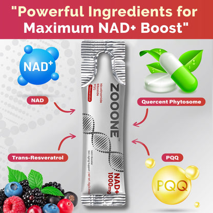zooone- NAD+ Supplement 30pcs, Premium Nicotinamide Riboside & Resveratrol, DNA Repair & Healthy Aging， Advanced NAD Supplement for Men & Women, Boosts Cellular Energy. zoooneBuy Supplements Australia